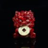 Red Coral