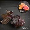 Red Koi Fish 15.7*9.4*7.4cm